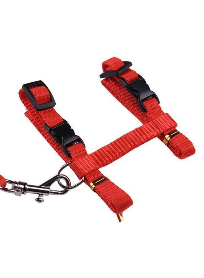 طوق مقود وحزام قابل للتعديل أحمر/أسود/فضي - Image 2